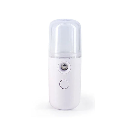 Mini Face Steamer